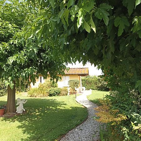 Piscina Privata Tiger Home, Toscana كابانّوري المظهر الخارجي الصورة