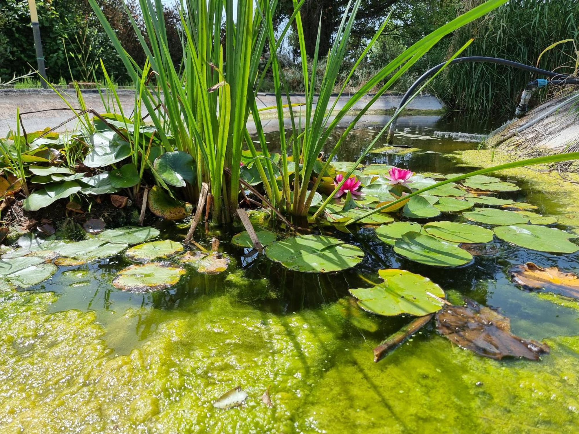 Piscina Privata Tiger Home, Toscana كابانّوري المظهر الخارجي الصورة