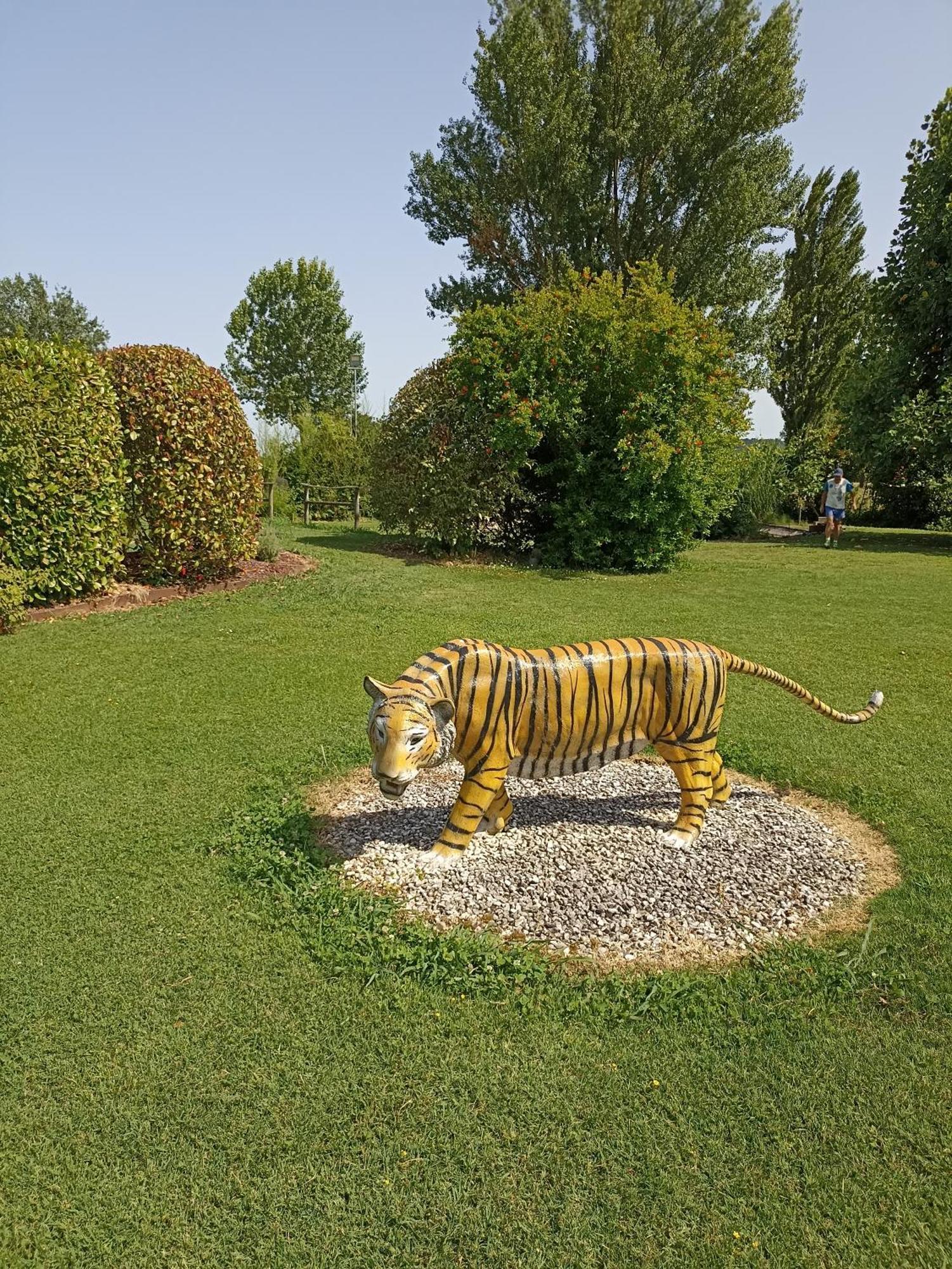 Piscina Privata Tiger Home, Toscana كابانّوري المظهر الخارجي الصورة